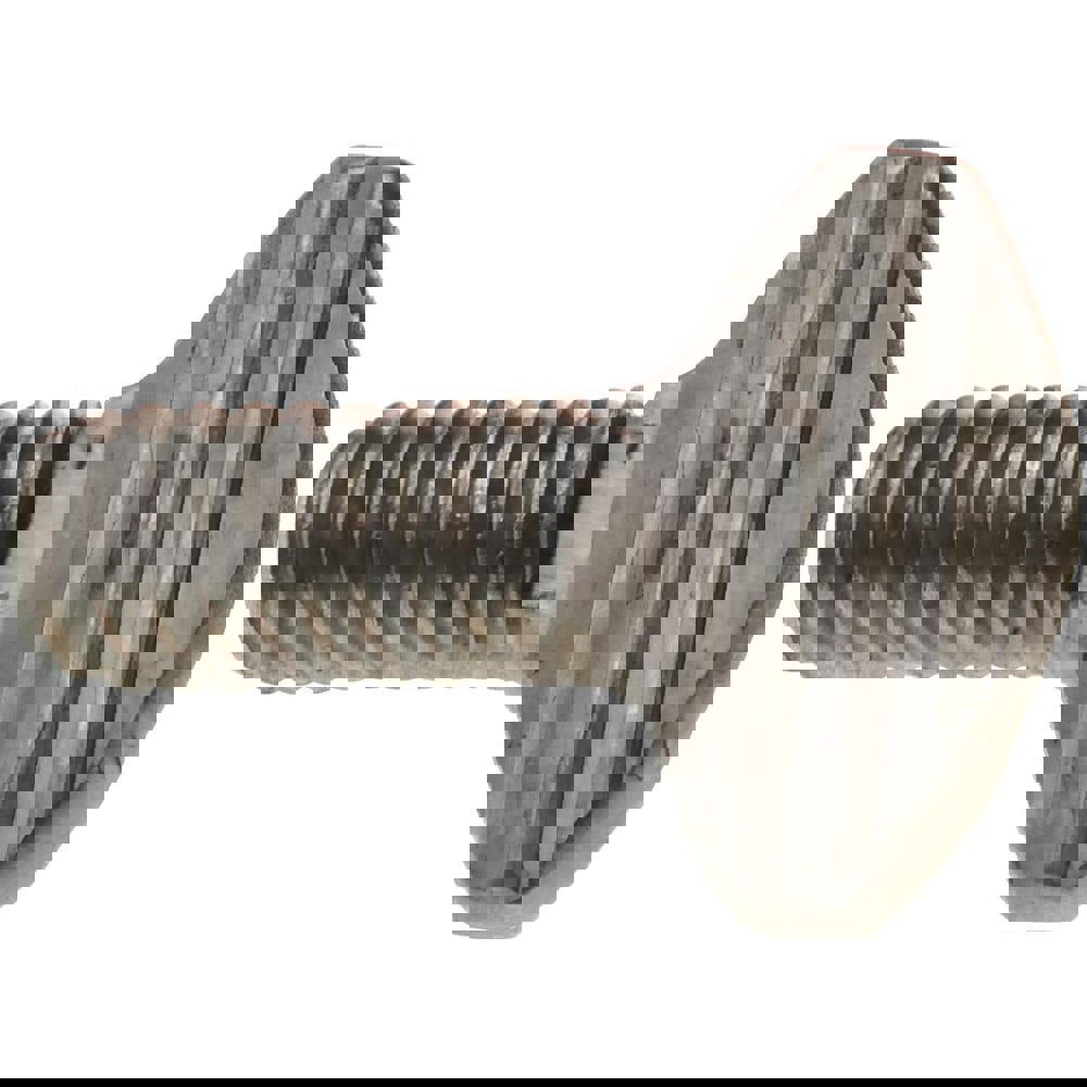 18-8 Stainless Steel Thumb Screw: #8-32, Oval Head