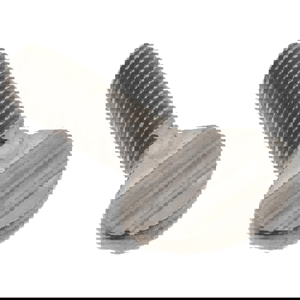 18-8 Stainless Steel Thumb Screw: #10-24, Oval Head