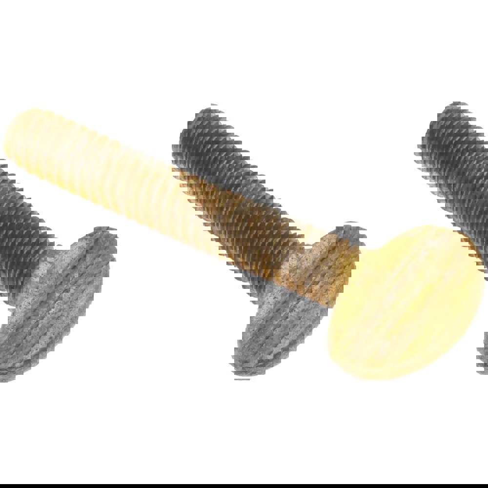 Brass Thumb Screw: 1/4-20, Oval Head