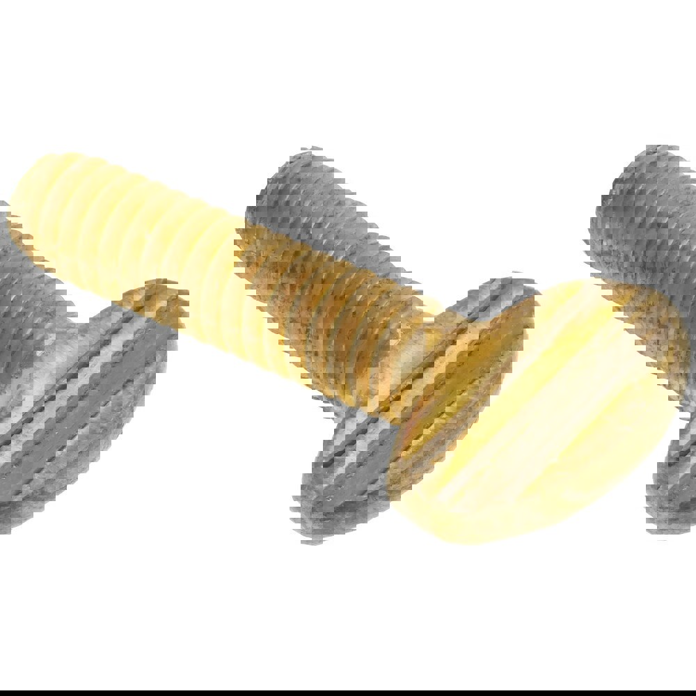 Brass Thumb Screw: 1/4-20, Oval Head