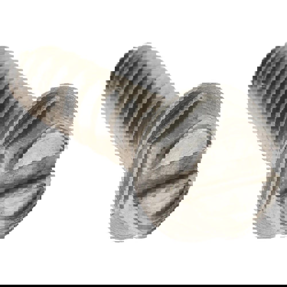 Sheet Metal Screw: #12, Hex Washer Head, Slotted