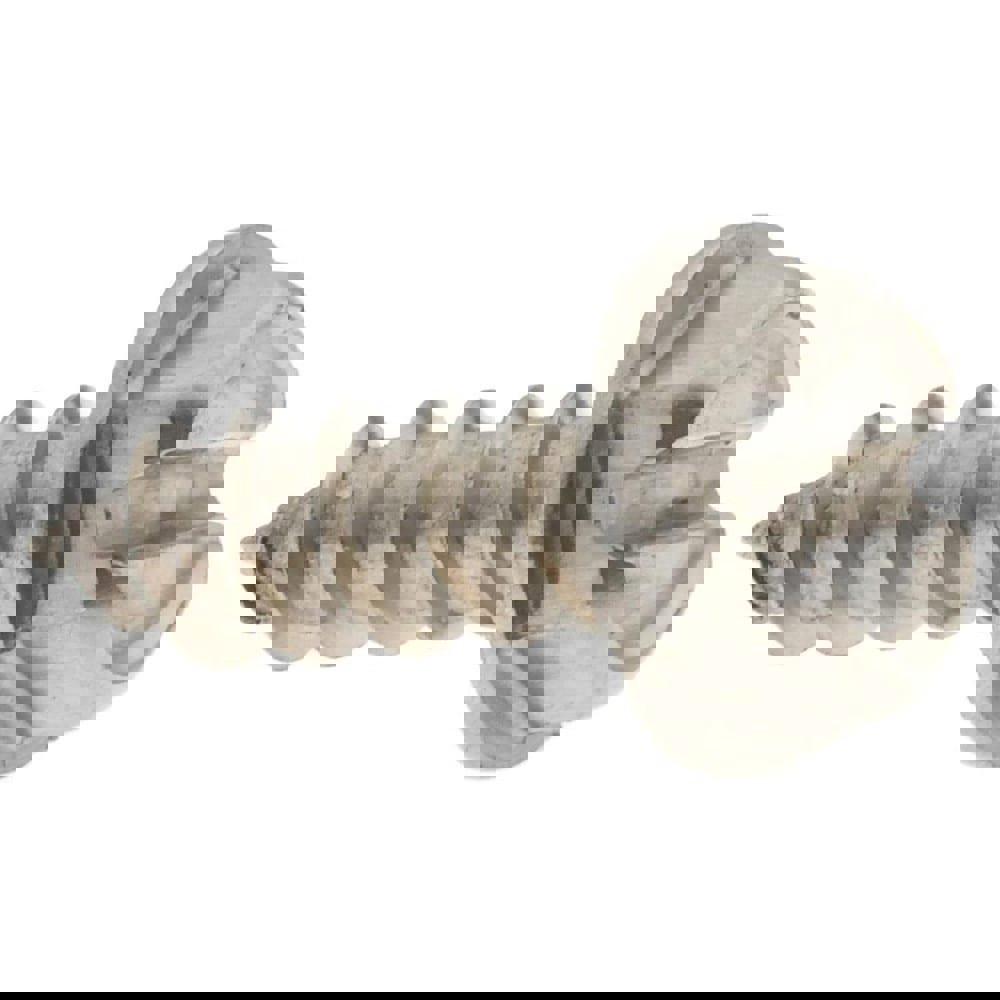 Sheet Metal Screw: #8, Hex Washer Head, Slotted