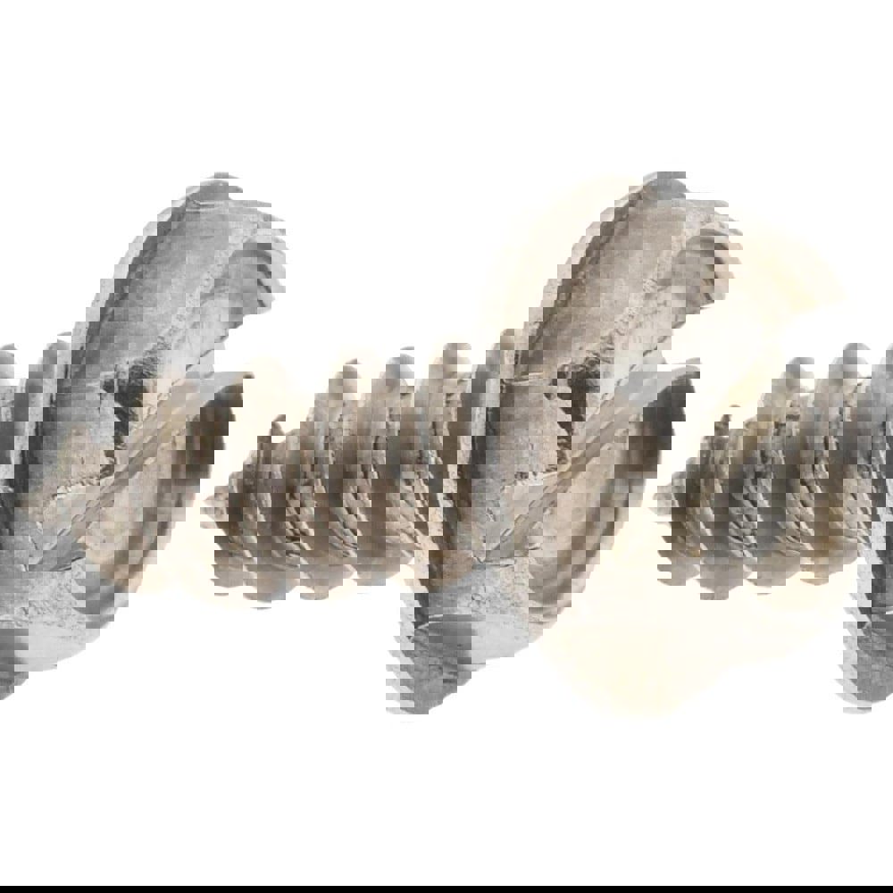 Sheet Metal Screw: #10, Hex Washer Head, Slotted