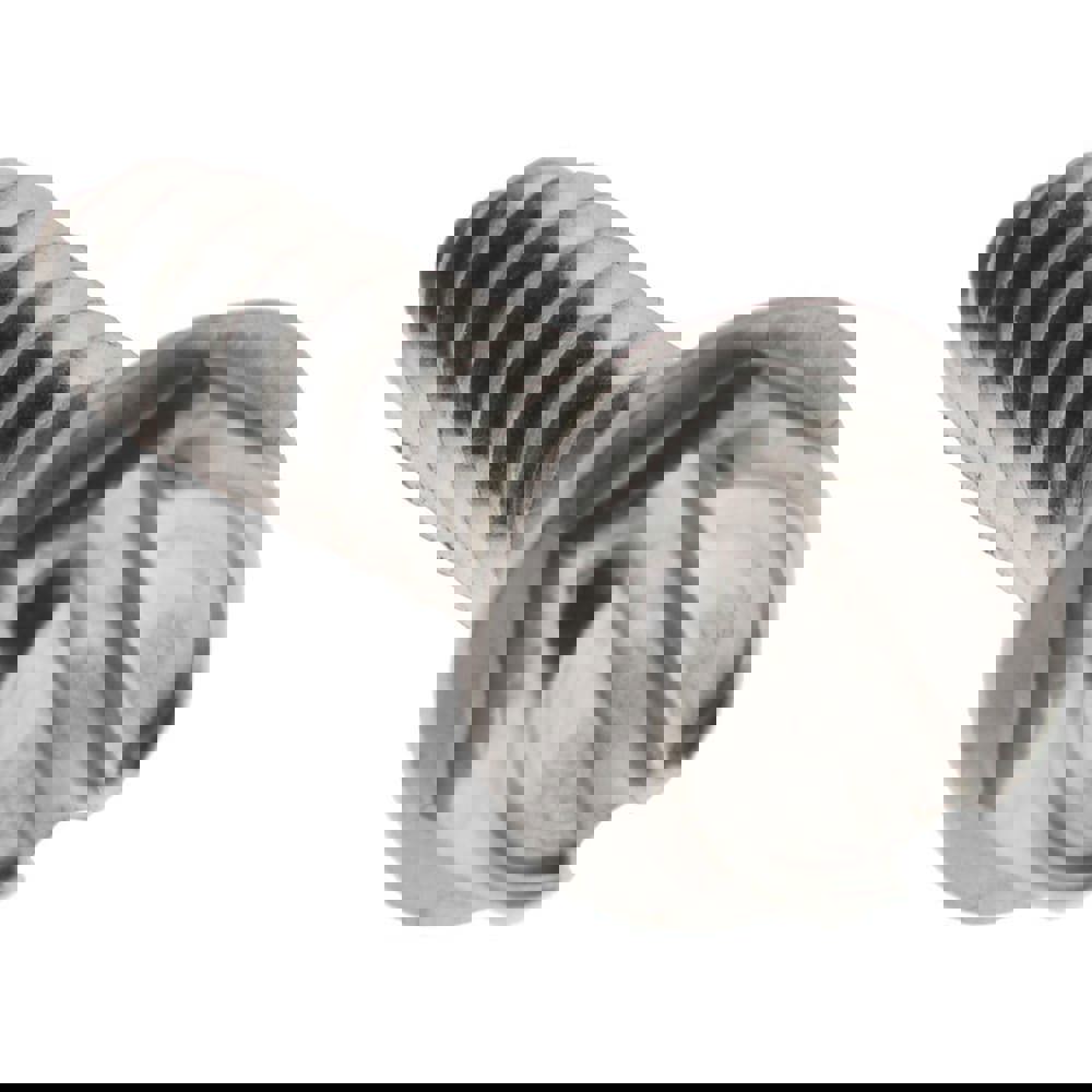 Sheet Metal Screw: #8, Hex Washer Head, Slotted