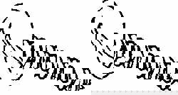 Sheet Metal Screw: #10, Truss Head, Slotted