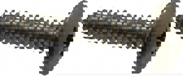 Sheet Metal Screw: #10, Truss Head, Slotted