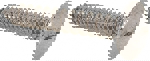 Sheet Metal Screw: #8, Truss Head, Slotted