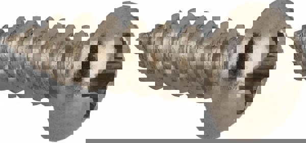 Sheet Metal Screw: #6, Round Head, Phillips