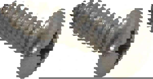 Sheet Metal Screw: #10, Round Head, Phillips