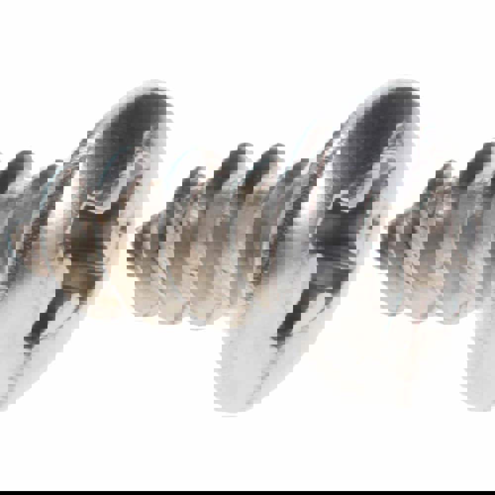 Sheet Metal Screw: #10, Oval Head, Phillips