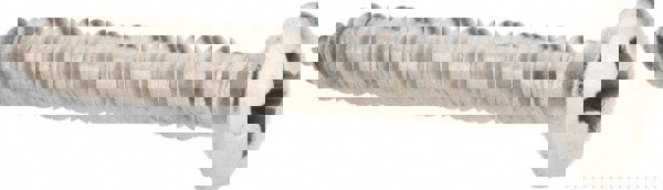 Sheet Metal Screw: #10, Oval Head, Phillips