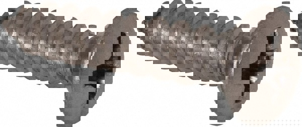 Sheet Metal Screw: #10, Oval Head, Phillips