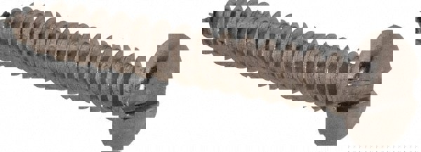 Sheet Metal Screw: #6, Pan Head, Slotted