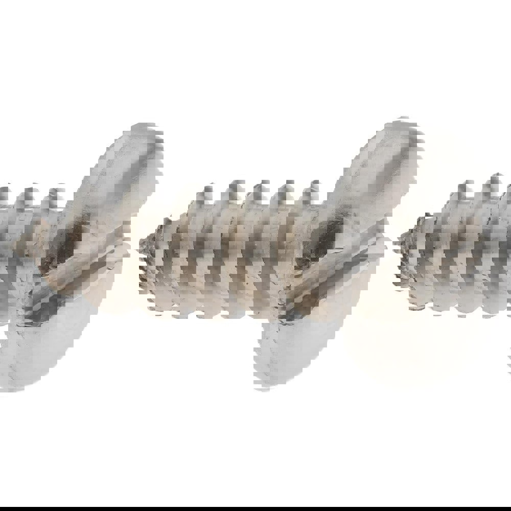 Sheet Metal Screw: #10, Pan Head, Slotted