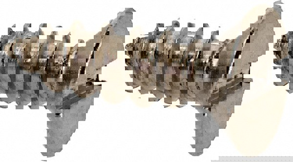 Sheet Metal Screw: #6, Flat Head, Slotted