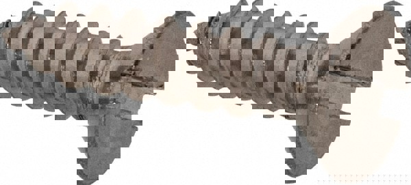 Sheet Metal Screw: #8, Flat Head, Slotted