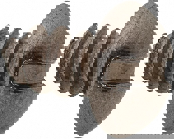 Sheet Metal Screw: #10, Round Head, Slotted Drive, 3/8