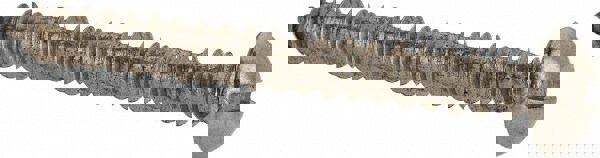 Sheet Metal Screw: #8, Round Head, Slotted