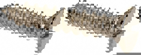 Sheet Metal Screw: #6, Flat Head, Slotted