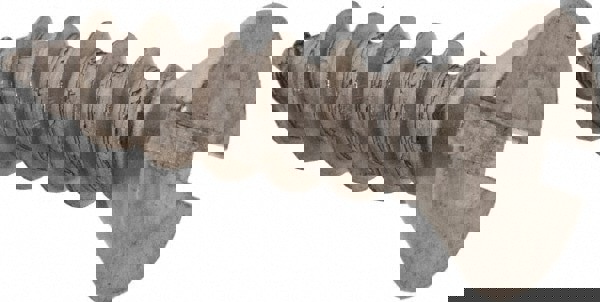 Sheet Metal Screw: #10, Flat Head, Slotted