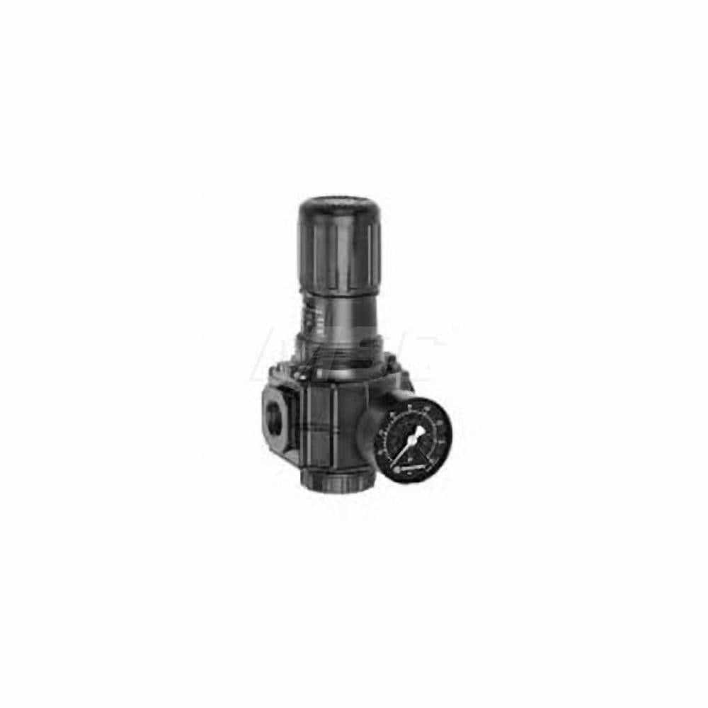 Compressed Air Regulator: 1/2