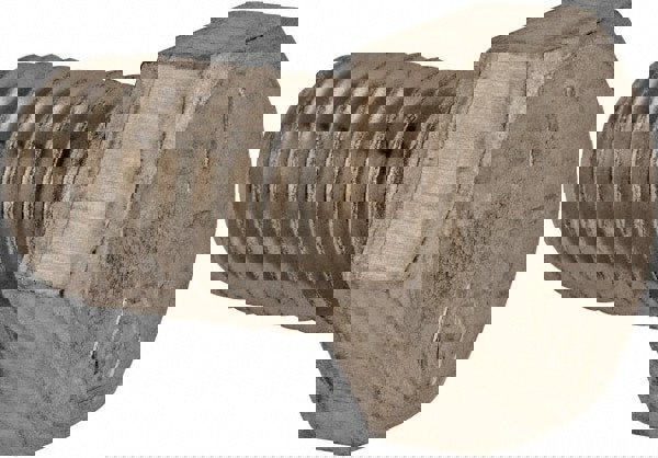 Hex Head Cap Screw: 3/8-16 x 5/8