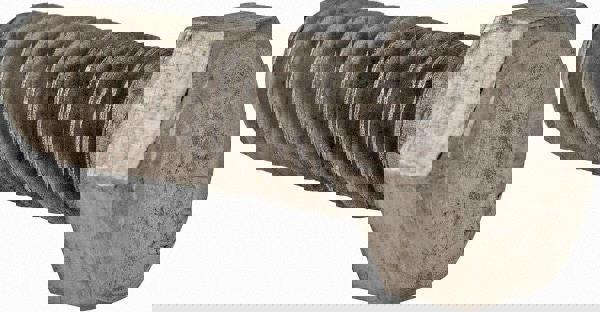 Hex Head Cap Screw: 1/2-13 x 1-1/2