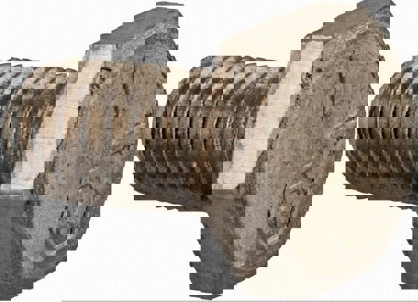 Hex Head Cap Screw: 1/4-20 x 1/2