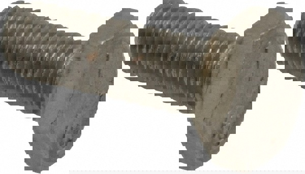 Hex Head Cap Screw: 1/4-20 x 3/4