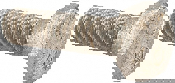 Hex Head Cap Screw: 1/4-20 x 1