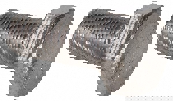 Hex Head Cap Screw: 5/16-18 x 3/4