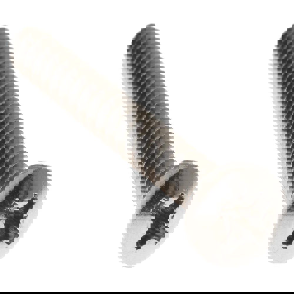 Sheet Metal Screw: #6, Pan Head, Phillips