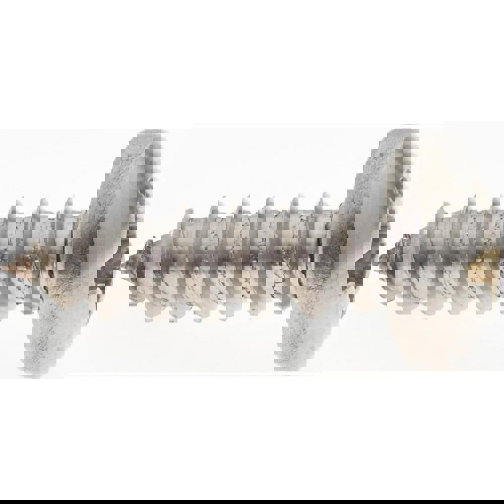 Sheet Metal Screw: #12, Pan Head, Phillips