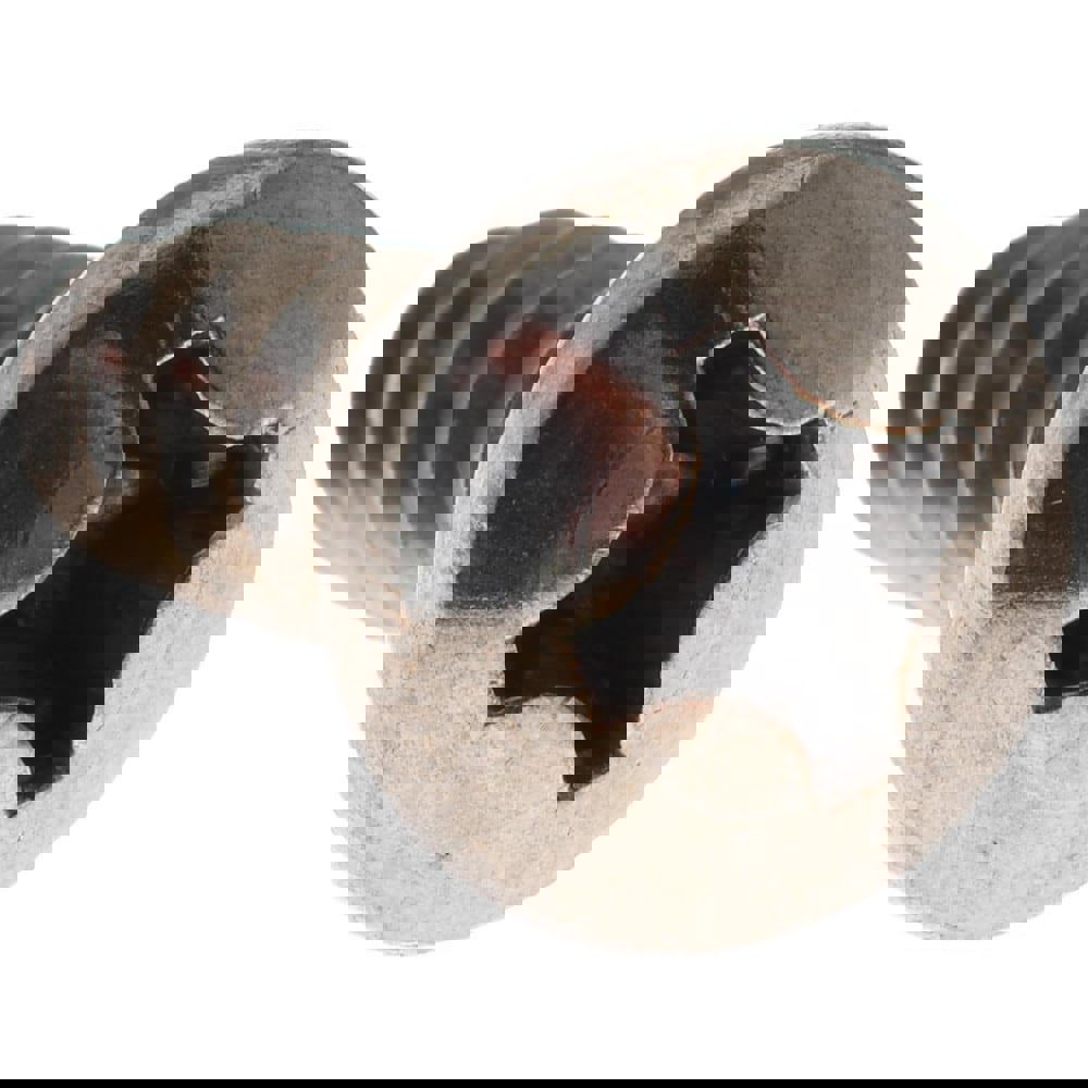 Sheet Metal Screw: #14, Pan Head, Phillips