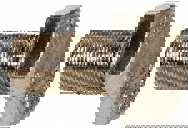 Hex Head Cap Screw: 1/4-28, 1/2