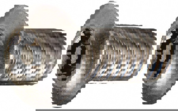 Machine Screw: #6-32 x 1/4, Stainless Steel, Uncoated