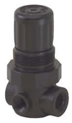 Compressed Air Regulator: 1/4