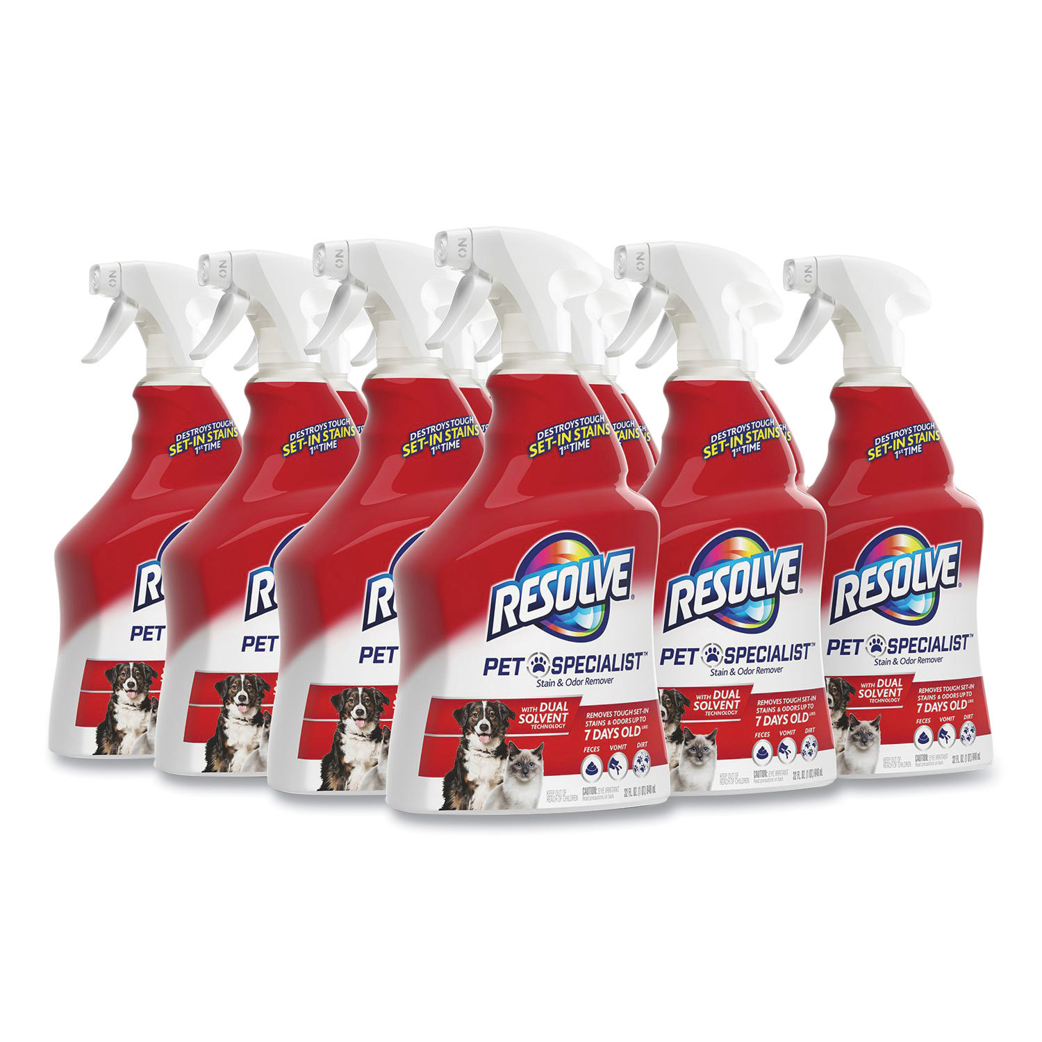 CLEANER,CARPET,12-32OZ