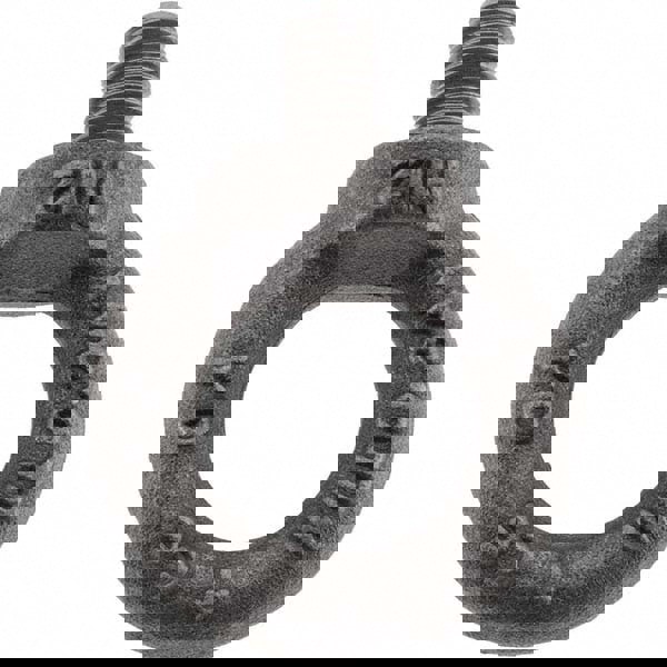 Fixed Lifting Eye Bolt: With Shoulder, M12 x 1.75 Thread, Grade C-15 Steel