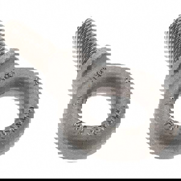 Fixed Lifting Eye Bolt: With Shoulder, M24 x 3.00 Thread, Grade C-15 Steel