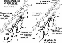 90 Ft. Long x 0.95 to 1-1/4 Inch Diameter, Track Travel Round Cable Festoon Kit