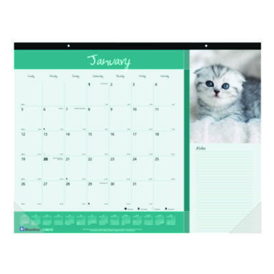 DESK PAD,FURRY,CATS,LG,WH