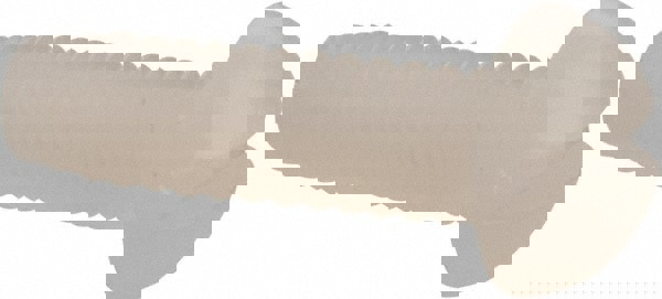 Machine Screw: #6-32 x 1/2