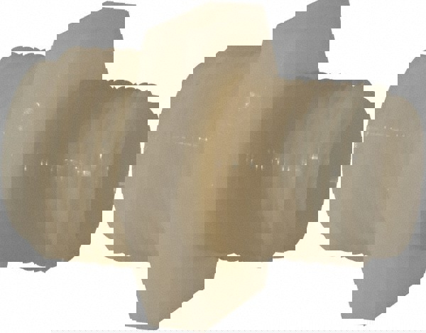 Pvc Hose Thrd Fittings