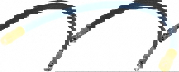 Lead-In Whip Hose: 1/4