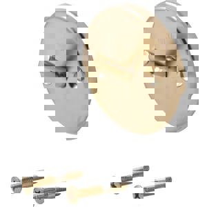 Overflow Plate and Screw in Champagne Bronze