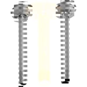 6 CEIL MNT SHWR ARM *TOTESC BN