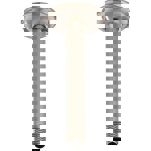 6 CEIL MNT SHWR ARM *VESI LUNI