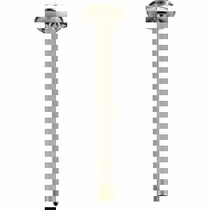 10 CEIL MNT SHWR ARM *TOTESC BN