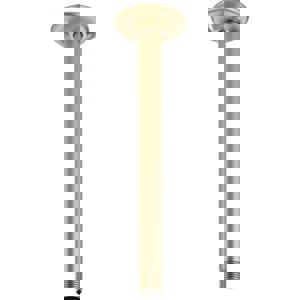 10 SHWR ARM & FLG CEIL MNT LUGO